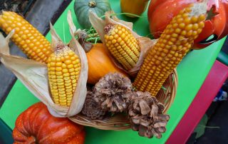 cresa gradinita cismigiu sector1 bucuresti 11