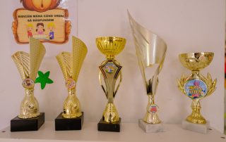 cresa gradinita colentina sector2 bucuresti 16